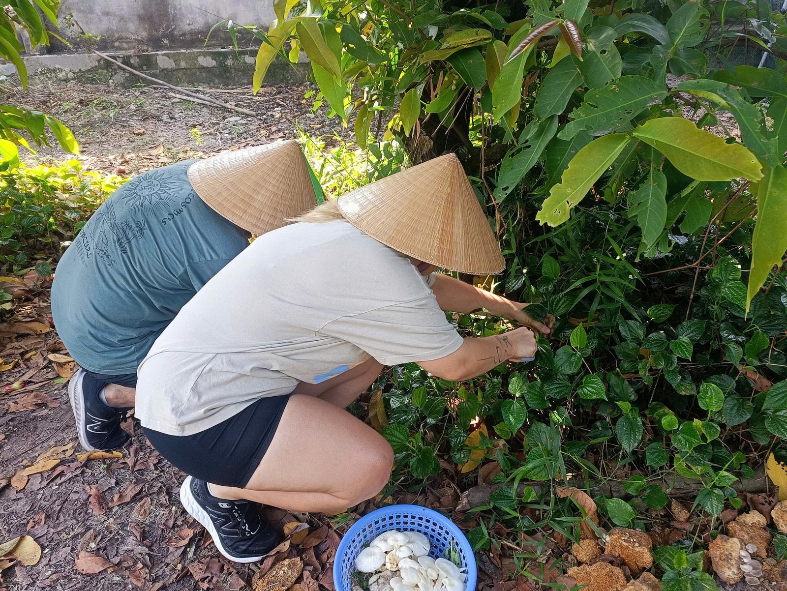 Một Ngày Làm Đầu Bếp & Khám Phá Sài Gòn