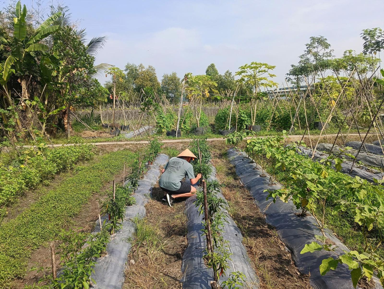 Một Ngày Làm Đầu Bếp & Khám Phá Sài Gòn (3)