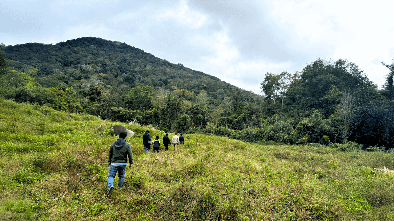 Trekking Chu Yang Sin National Park in a day (with overnight stay) (2)