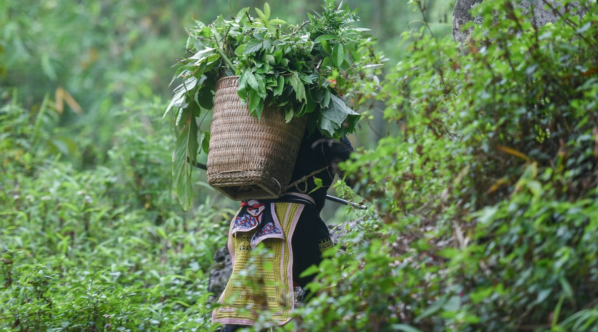 Thai herbal bath