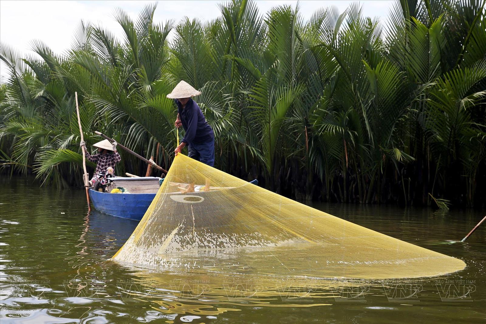 Cẩm Thanh Eco Tour
