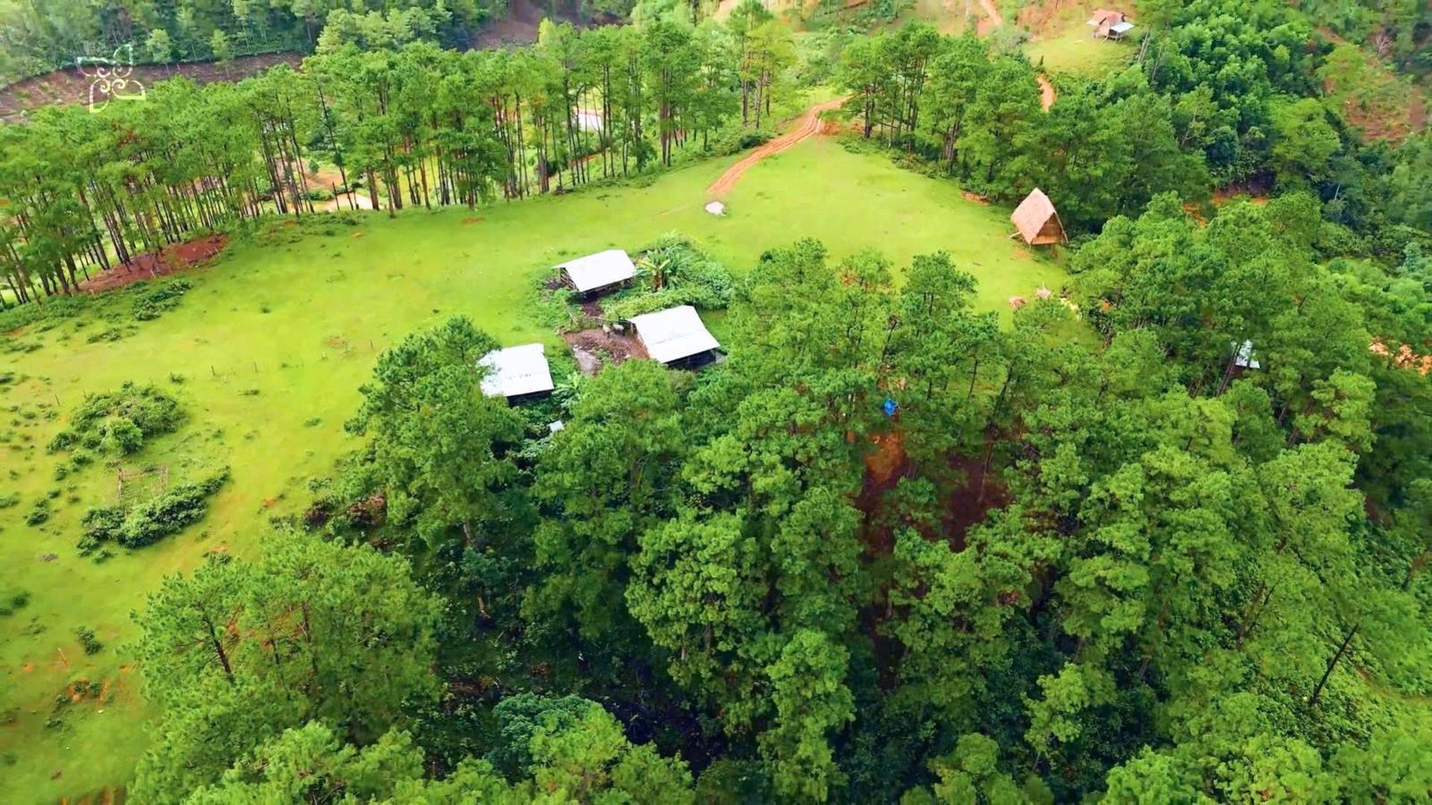 Konke Field Farmstay