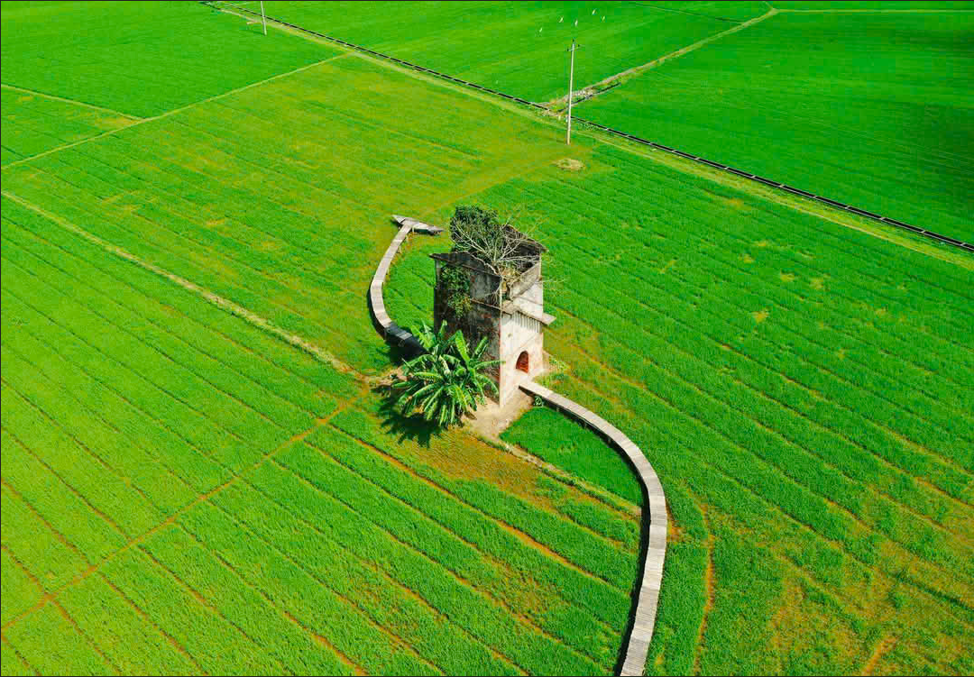 Tour visiting the rural life of Lo Gach Cu