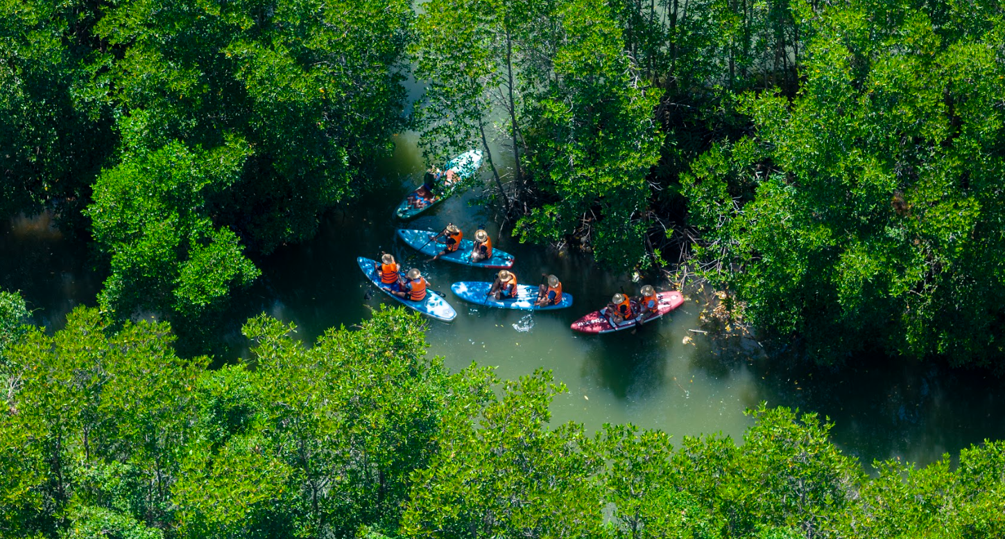 Experience Con Chim - SUP Rowing & Wetland Life