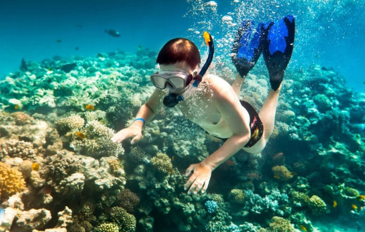 Experience Diving to See Coral - Quy Nhon (2)