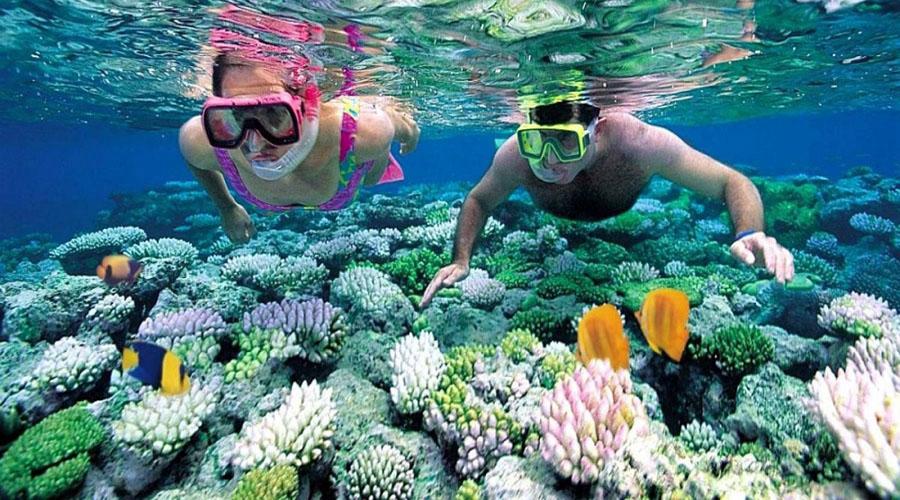 Vân Phong Bay Snorkeling Tour
