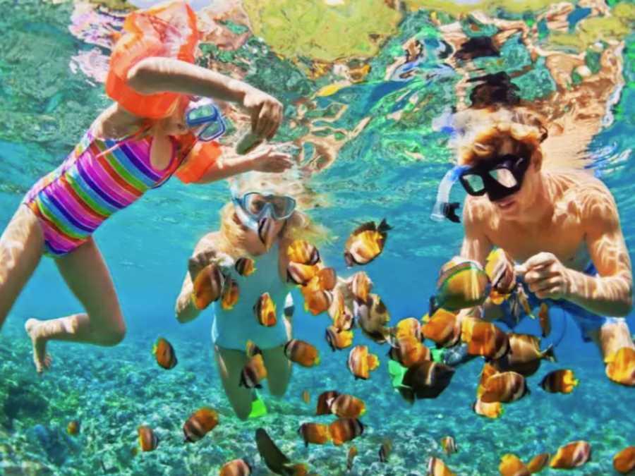Tour Snorkeling to Hon Mun Coral Reef (2)