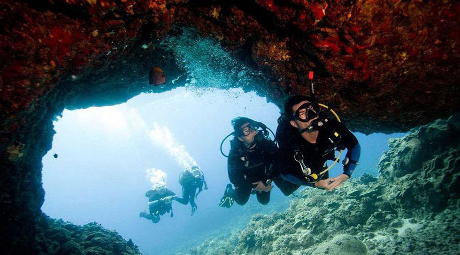 Tour Lặn Biển Đêm Phú Quốc (Áp Dụng Có Bằng)  (2)