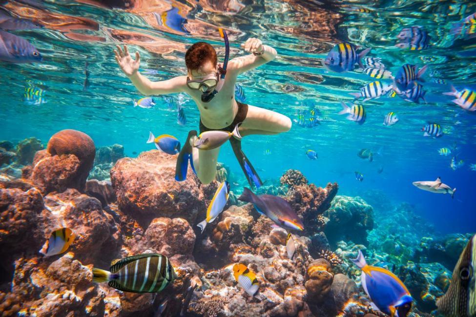 Tour Bơi Lặn Ngắm San Hô Nam Đảo Phú Quốc  (3)