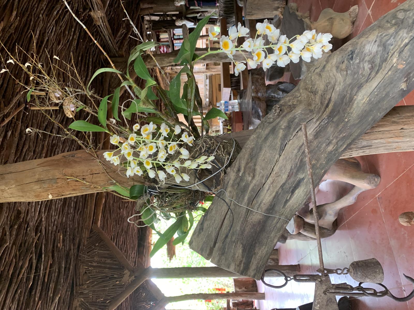 Homestay Hoang Anh Kon Xom Luh - Eco-tourism Resort (2)