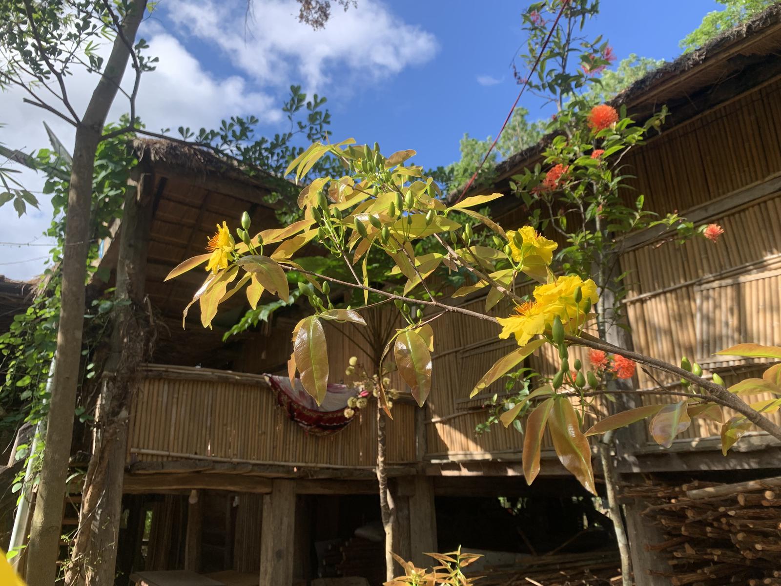 Homestay Hoang Anh Kon Xom Luh - Eco-tourism Resort (3)