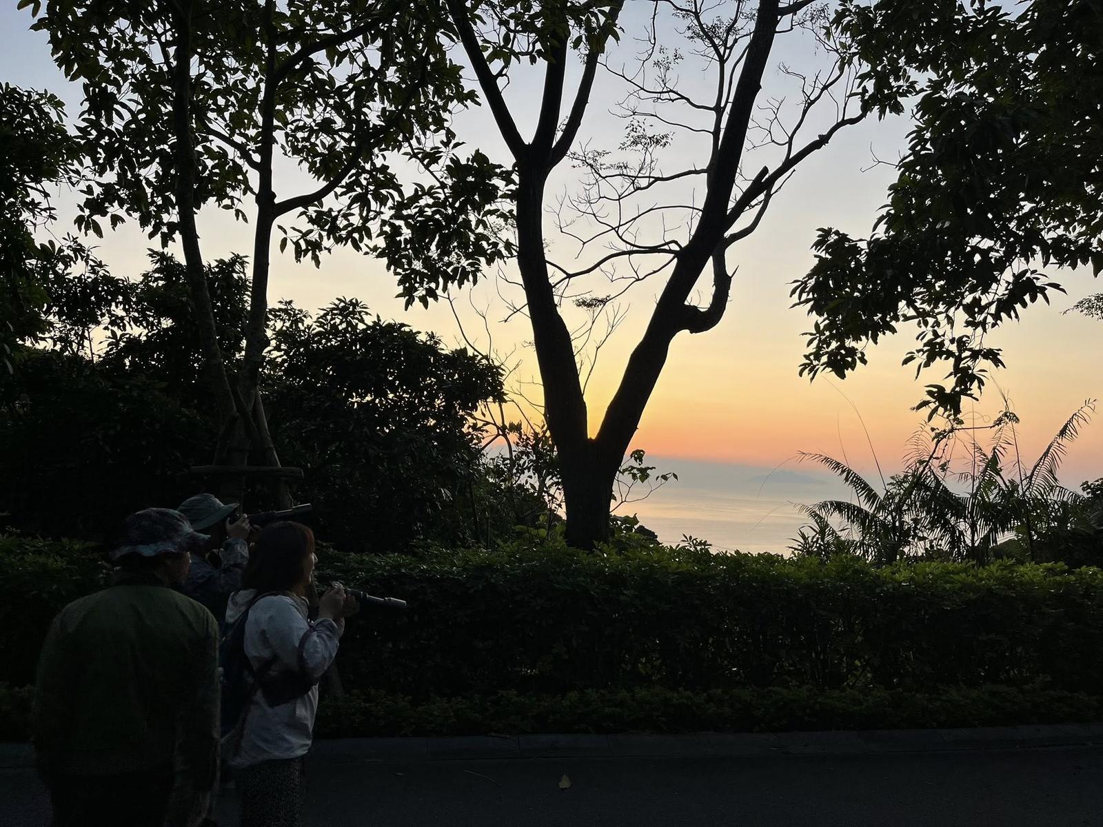 Trekking Sơn Trà | Thất đại cổ thụ - Hải đăng tiên sa (3)