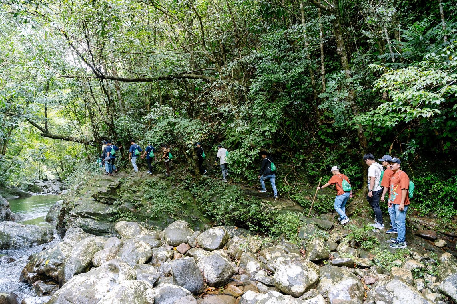 Trekking Sơn Trà | Thất đại cổ thụ - Hải đăng tiên sa