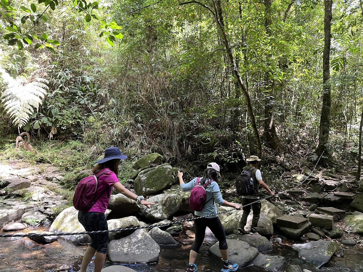 Bach Ma Trekking Tour - Full Day (3)