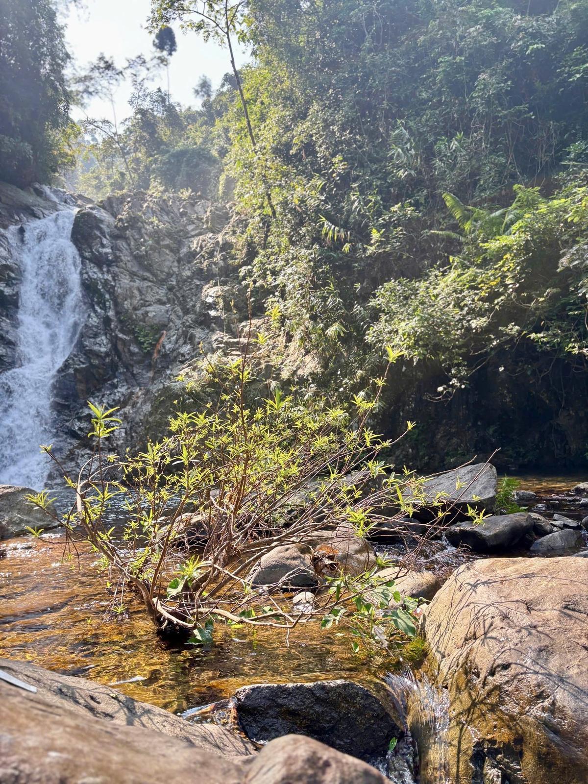 Suối Khe Đào (Đà Nẵng) (3)