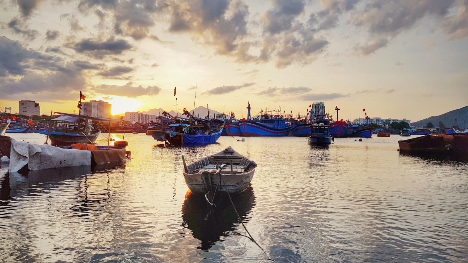 Tho Quang Fishing Port (Da Nang) (2)