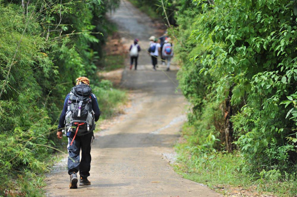 Light Trekking in the Forests and Streams of Nui Dinh