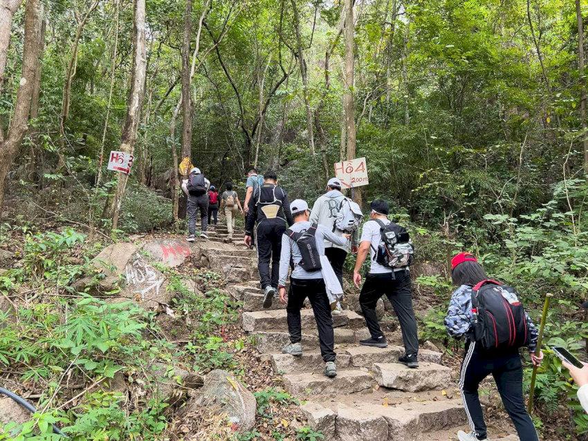 Light Trekking in the Forests and Streams of Nui Dinh (2)
