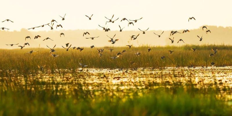 Bang Lang Stork Garden (3)