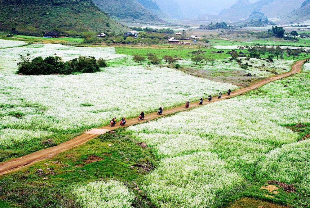 Pa Phach Village