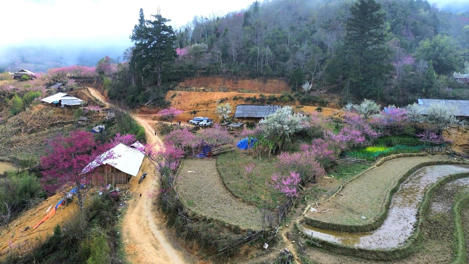 Đỉnh Lùng Cúng (3)