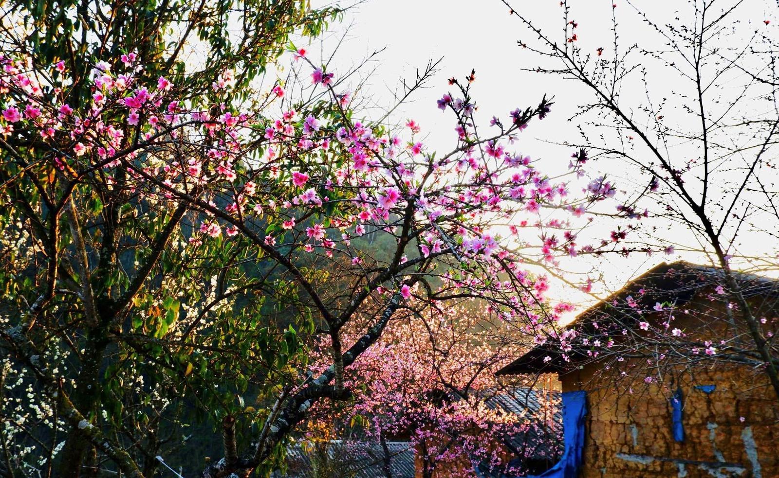 Bản Lao Xa (3)