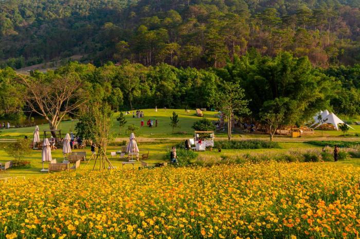 The Florest Hoa Trong Rừng (3)