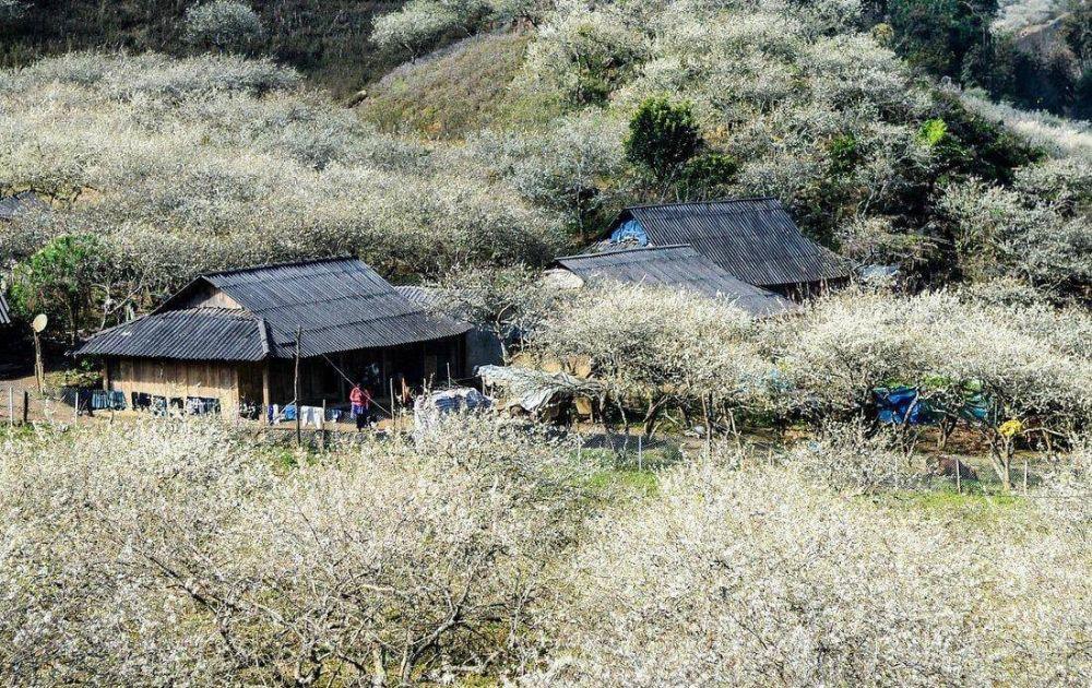 Na Ka Plum Valley (3)