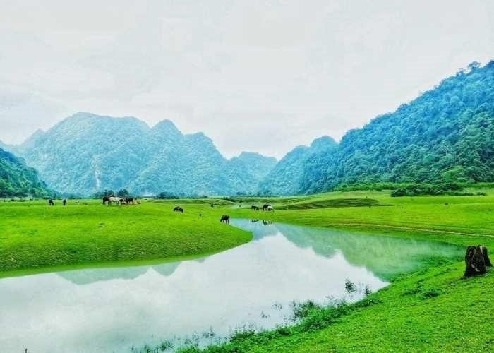 Dong Lam Steppe (2)