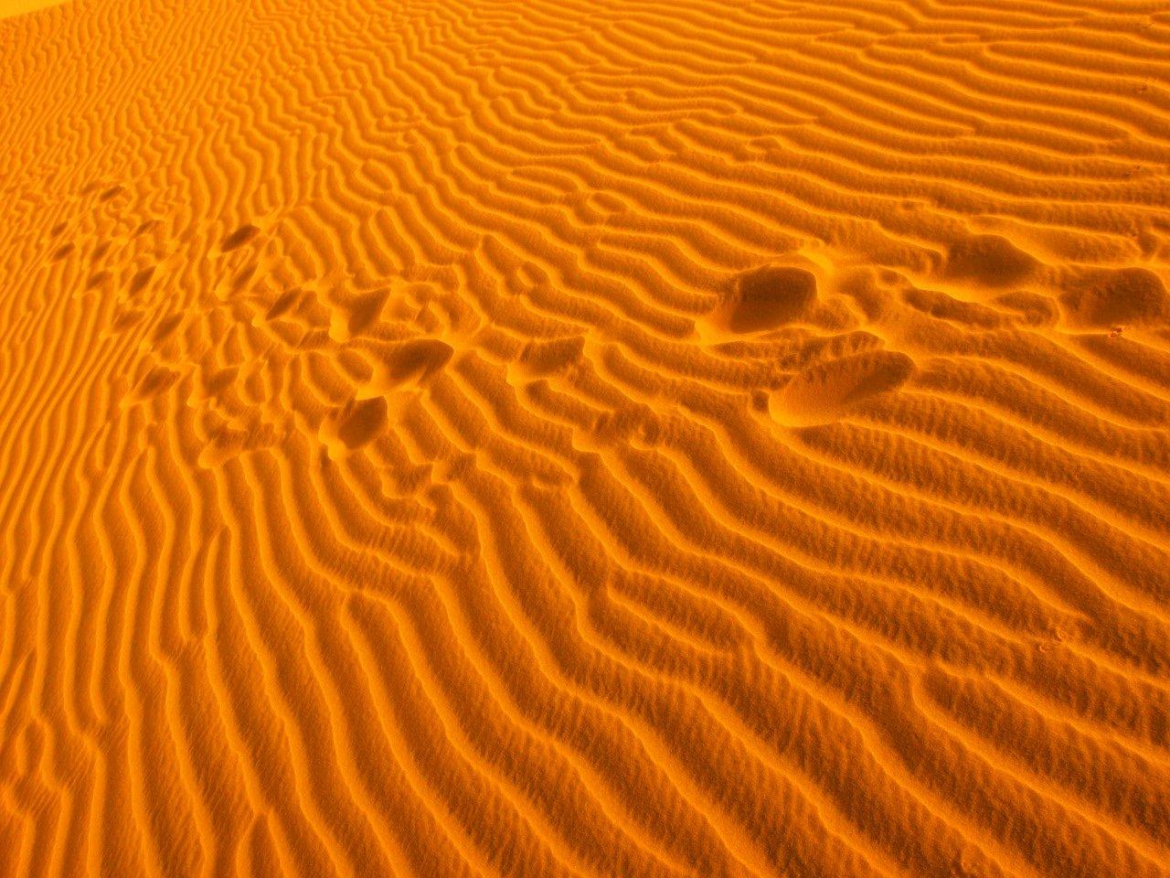 Nha Trang to Mui Ne 1-Day Tour – White Sand Dunes, Fairy Stream (Daily Join-in Tour) (2)