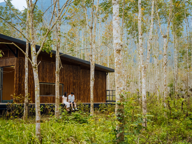 https://files.locallife.asia/images/800/1758267856641-q3.png