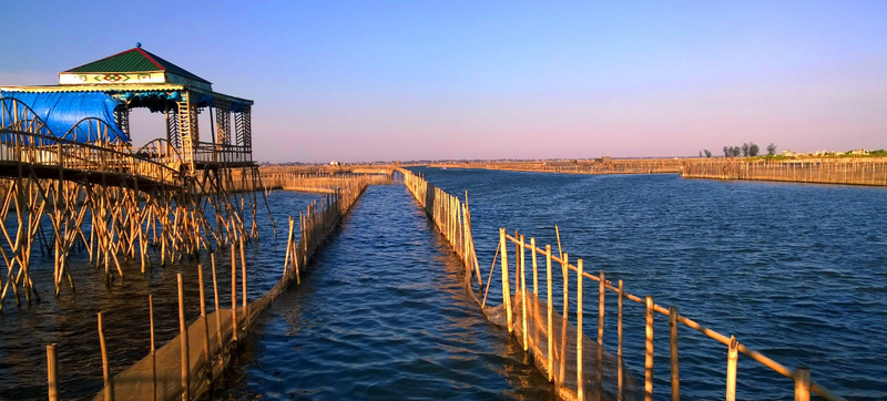 Afternoon experience on Tam Giang Lagoon (4)