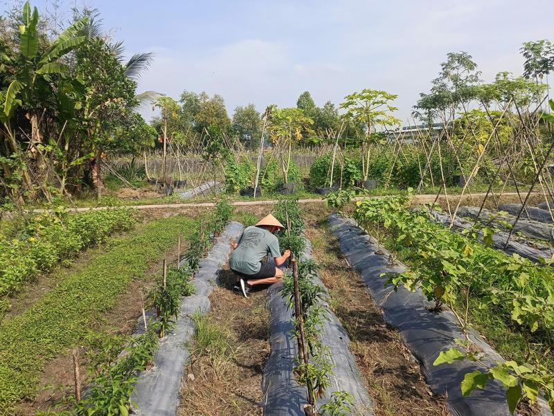 Một Ngày Làm Đầu Bếp & Khám Phá Sài Gòn (3)
