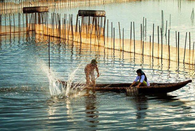 Afternoon experience on Tam Giang Lagoon (1)