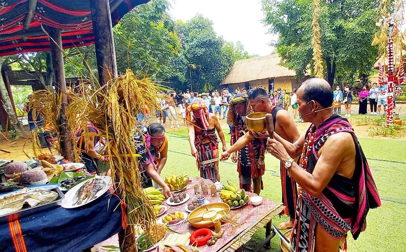 https://files.locallife.asia/images/800/1763544801960-44.jpg