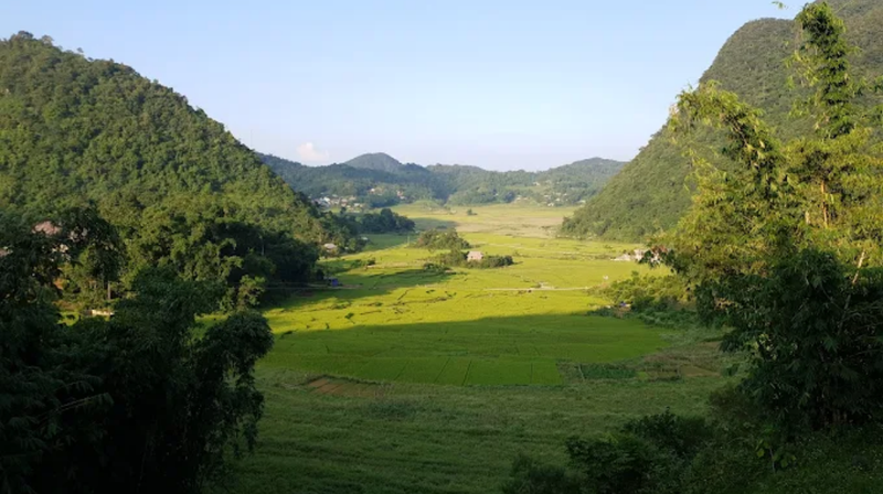https://files.locallife.asia/images/800/1763795797124-169tb1.png
