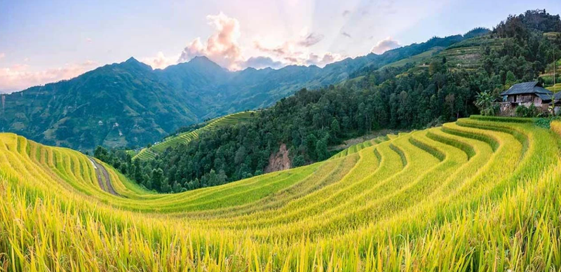 Kho Báu Trà & Câu Chuyện Bản Địa (10)