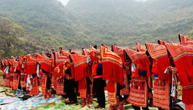 Kho Báu Trà & Câu Chuyện Bản Địa (6)