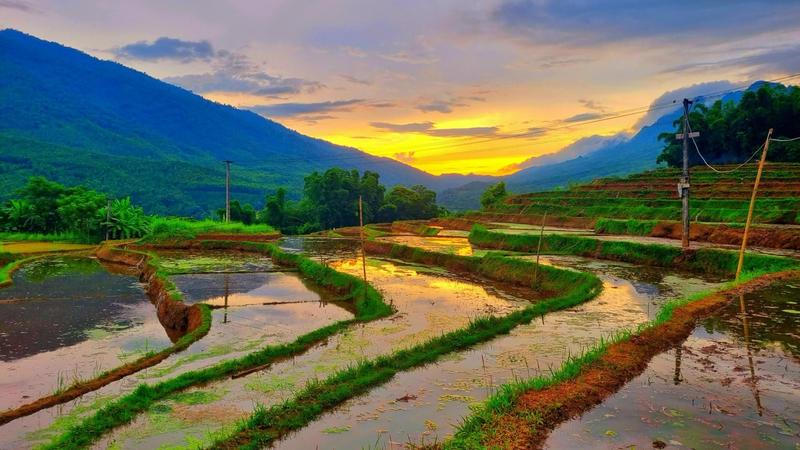 https://files.locallife.asia/images/800/1764398967119-474486076_1103931474761157_7754971453389338668_n.jpg
