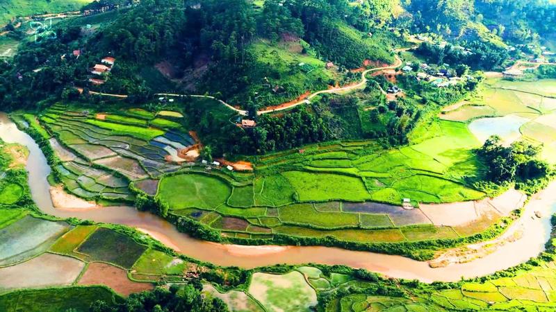 https://files.locallife.asia/images/800/1766375490878-81b58cfdeed8618638c9.jpg
