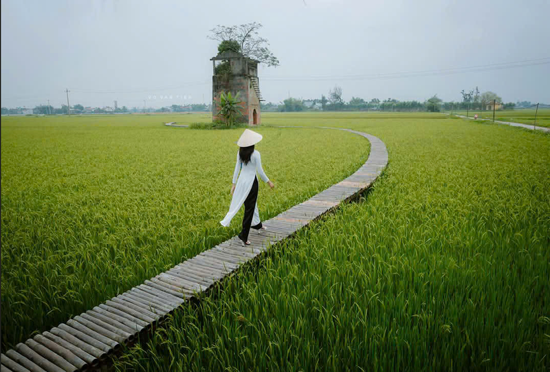 Tour visiting the rural life of Lo Gach Cu (3)