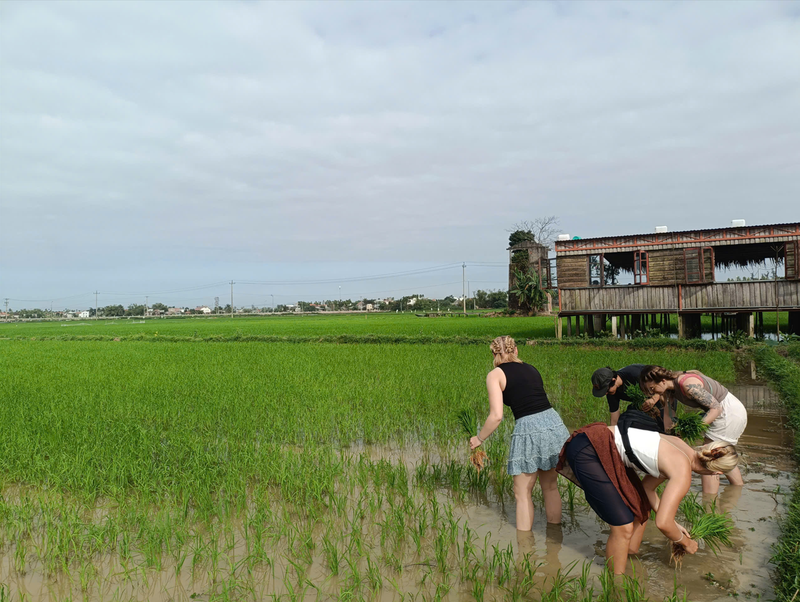 Tour visiting the rural life of Lo Gach Cu (4)