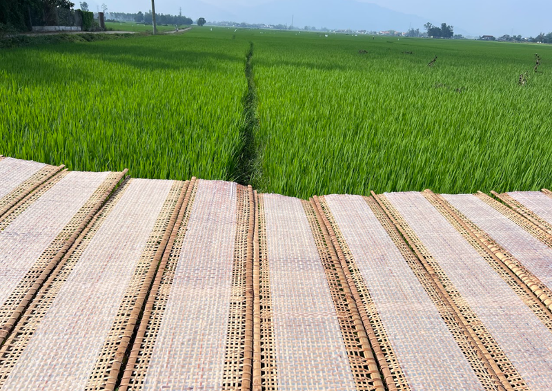 Craft Village Journey & Cham Pa Heritage - Quy Nhon (10)