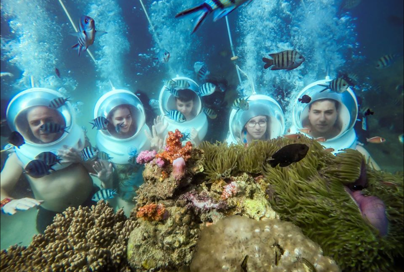 Experience Diving to See Coral - Quy Nhon (5)