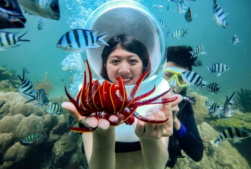 Experience Diving to See Coral - Quy Nhon (1)