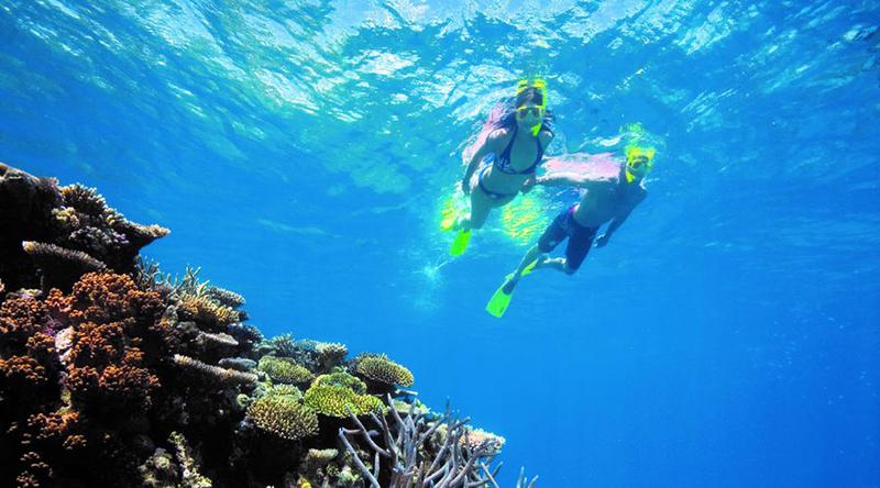 Vân Phong Bay Snorkeling Tour (2)