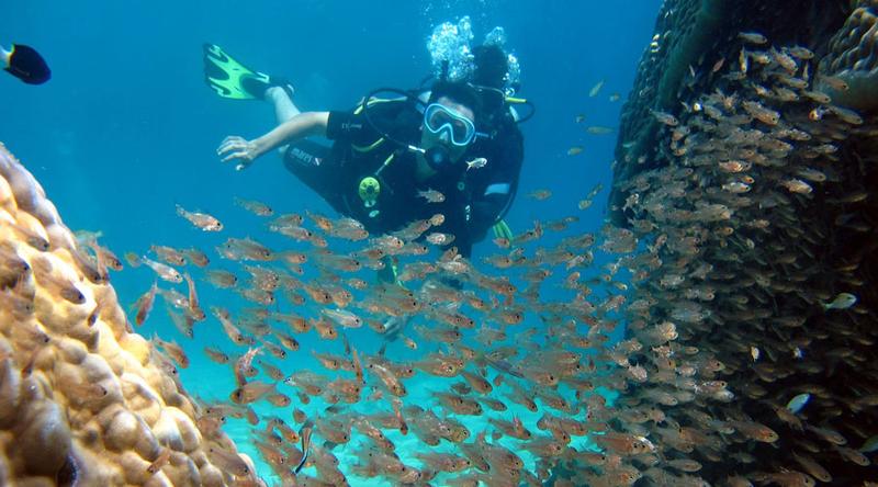 Tour Lặn Bình Hơi Dưới Biển Nha Trang  (2)