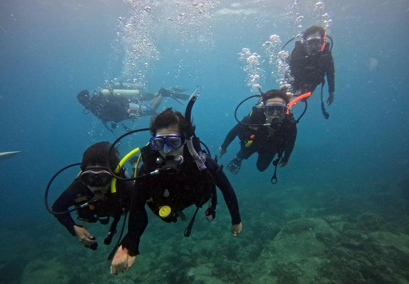 Tour Lặn Biển Hòn Mun Không Có Bằng Lặn (dành cho người mới bắt đầu) (4)