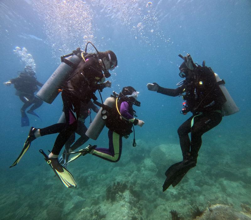 Tour Lặn Biển Hòn Mun Không Có Bằng Lặn (dành cho người mới bắt đầu) (6)