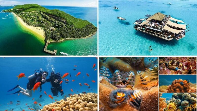 Tour Lặn Biển Hòn Mun Không Có Bằng Lặn (dành cho người mới bắt đầu) (3)
